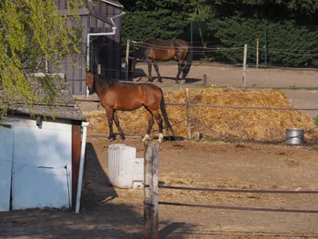 Kalkense Meersen (België)